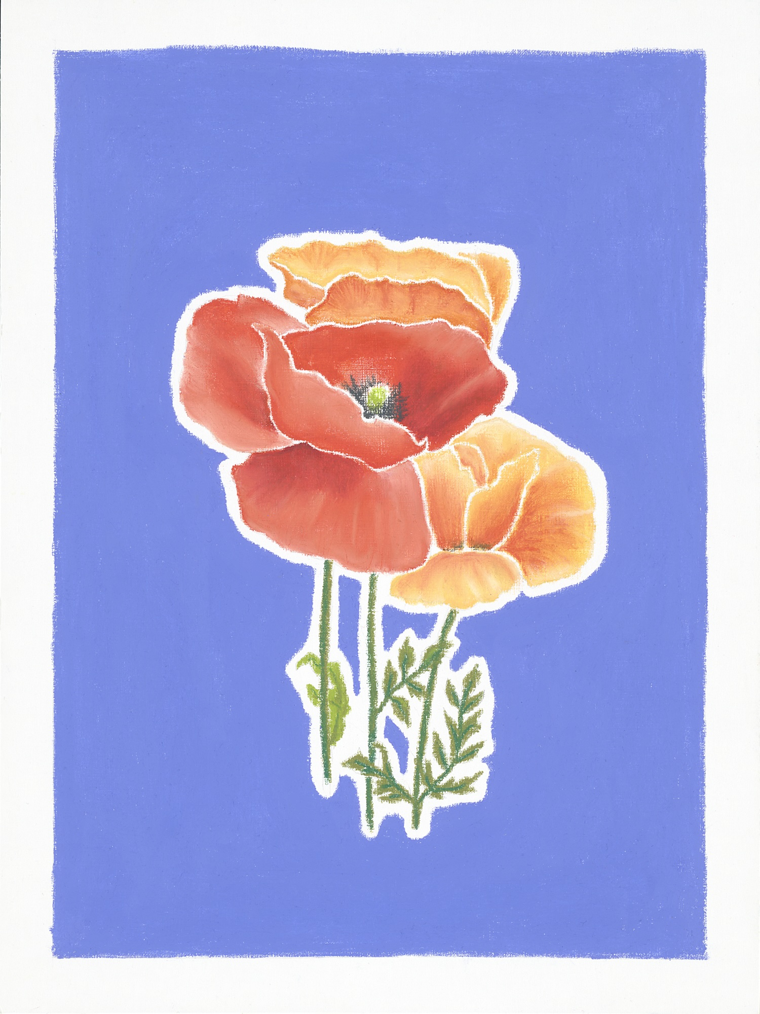 Ölpastellbild Mohnblumen von Laura Nederkorn