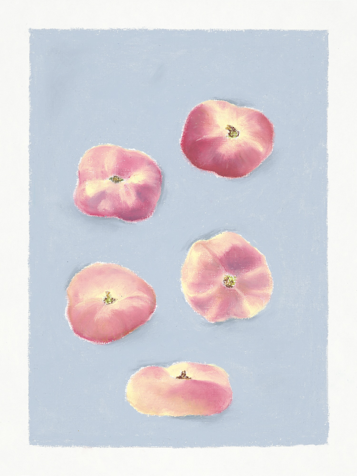 Ölpastellbild Pfirsiche von Laura Nederkorn