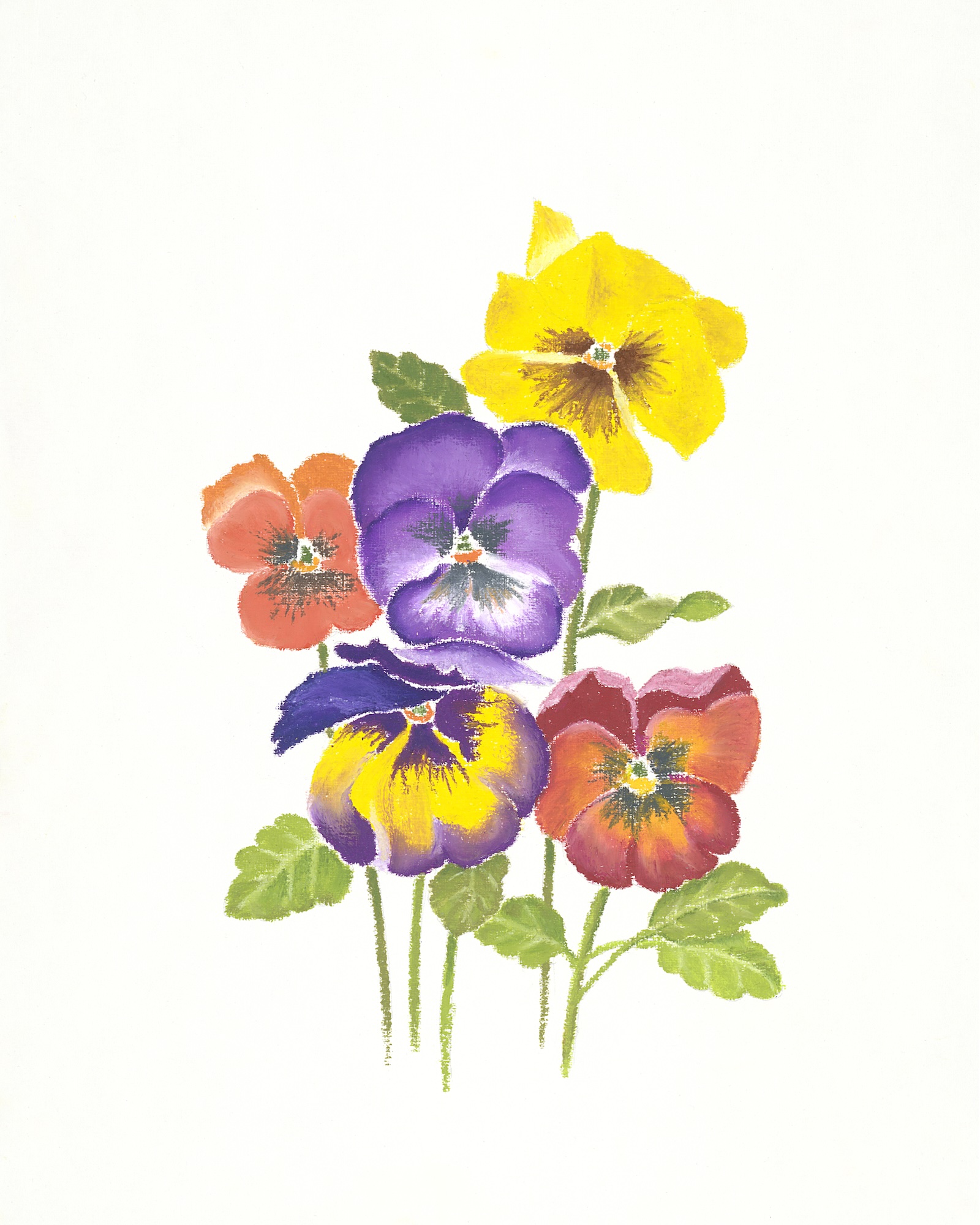 Ölpastellbild Stiefmütterchen von Laura Nederkorn
