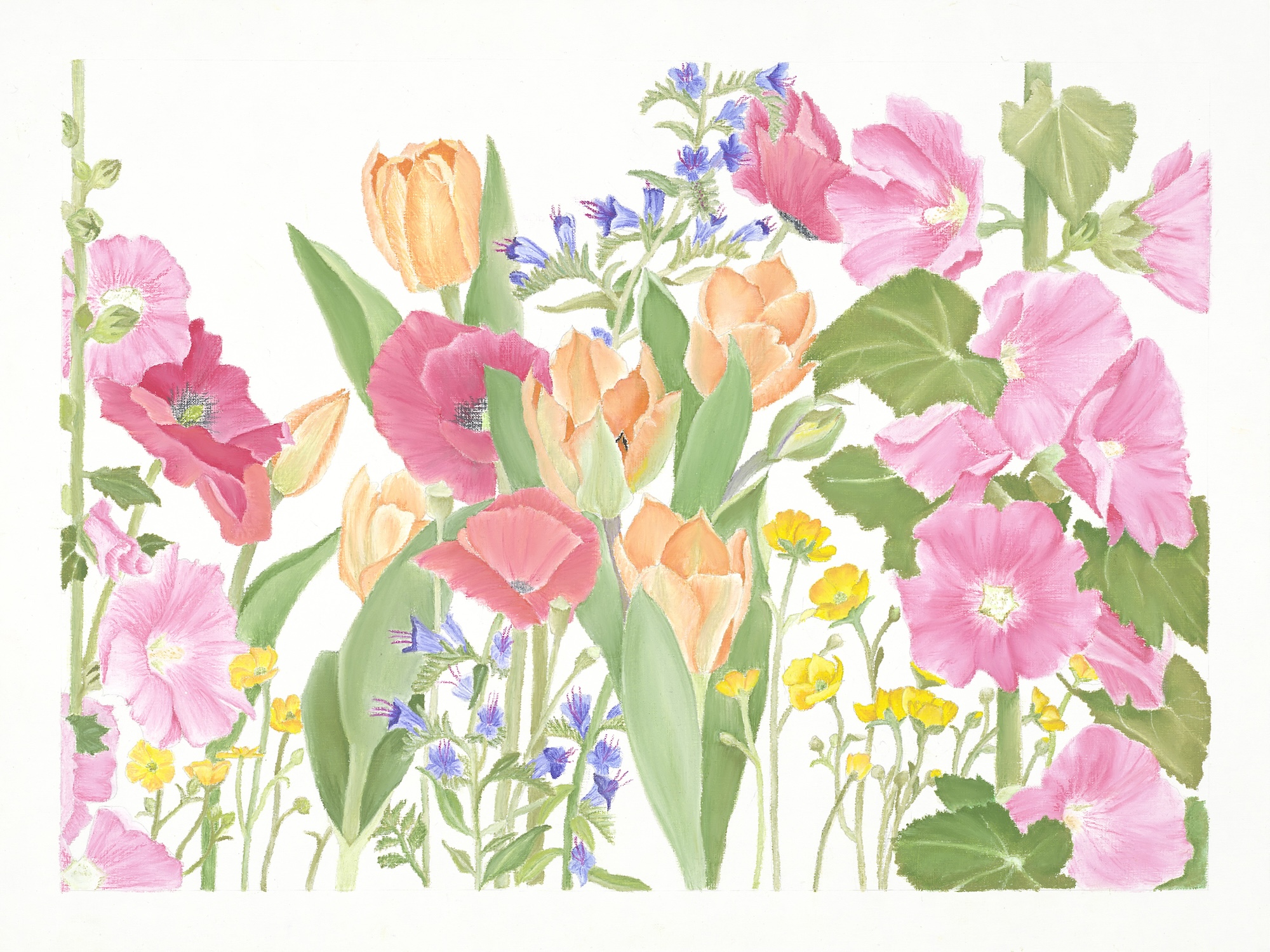 Ölpastellbild Wildblumen von Laura Nederkorn