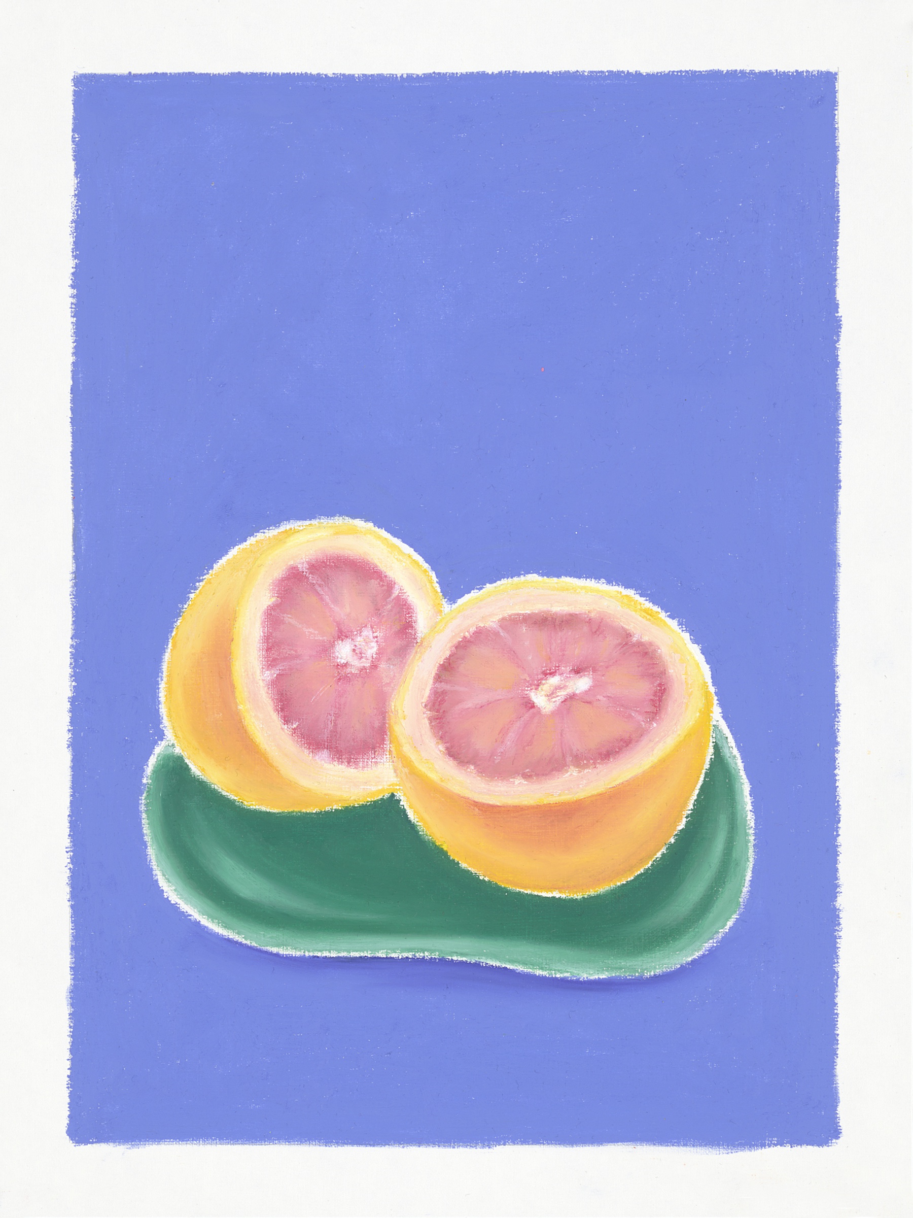 Ölpastellbild Grapefruits von Laura Nederkorn